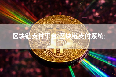 区块链支付平台(区块链支付系统)