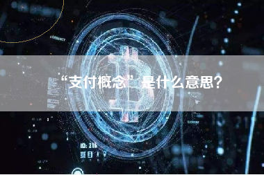 “支付概念”是什么意思？
