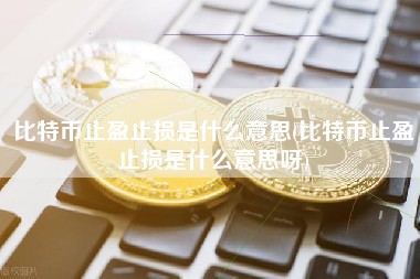 比特币止盈止损是什么意思(比特币止盈止损是什么意思呀)