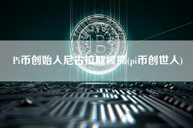 Pi币创始人尼古拉斯被抓(pi币创世人)