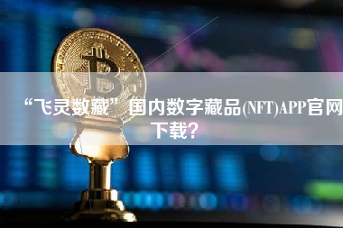 “飞灵数藏”国内数字藏品(NFT)APP官网下载？