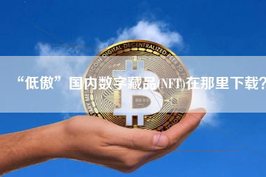 “低傲”国内数字藏品(NFT)在那里下载？