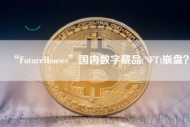 “FutureHouses”国内数字藏品(NFT)崩盘？