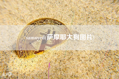 samoyed(萨摩耶大狗图片)