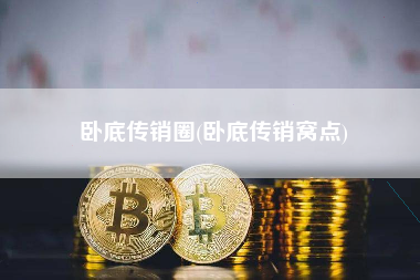 卧底传销圈(卧底传销窝点)
