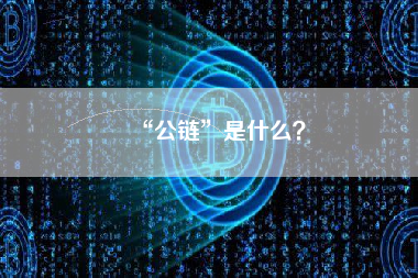 “公链”是什么？