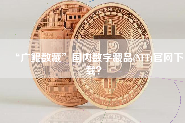 “广鲲数藏”国内数字藏品(NFT)官网下载？