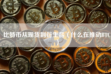 比特币从现货到衍生品（什么在推动BTC）