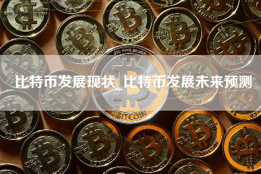 比特币发展现状_比特币发展未来预测