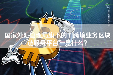 国家外汇管理局旗下的“跨境业务区块链服务平台”是什么？