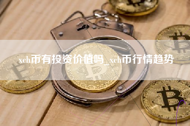 xch币有投资价值吗_xch币行情趋势