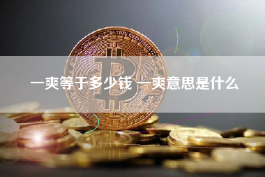 一爽等于多少钱 一爽意思是什么