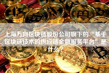 上海万向区块链股份公司旗下的“基于区块链技术的供应链金融服务平台”是什么？
