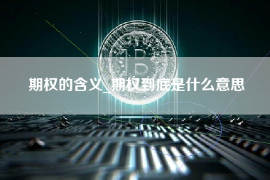 期权的含义_期权到底是什么意思