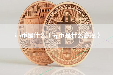 icp币是什么（icp币是什么意思）
