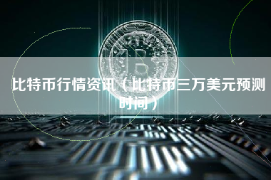 比特币行情资讯（比特币三万美元预测时间）