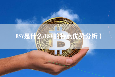 BSV是什么(BSV的特点优势分析）
