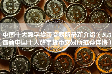 中国十大数字货币交易所最新介绍（2023最新中国十大数字货币交易所推荐详情）