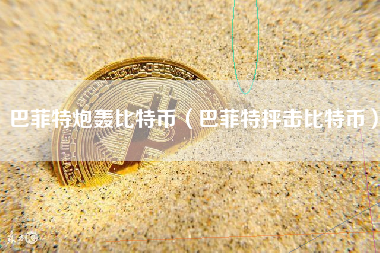 巴菲特炮轰比特币（巴菲特抨击比特币）
