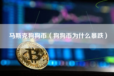 马斯克狗狗币（狗狗币为什么暴跌）