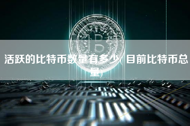 活跃的比特币数量有多少( 目前比特币总量)