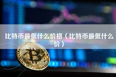 比特币最低什么价格（比特币最低什么价）