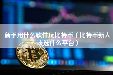 新手用什么软件玩比特币（比特币新人该选什么平台）