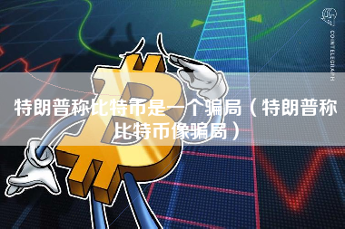 特朗普称比特币是一个骗局（特朗普称比特币像骗局）