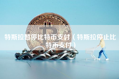 特斯拉暂停比特币支付（特斯拉停止比特币支付）
